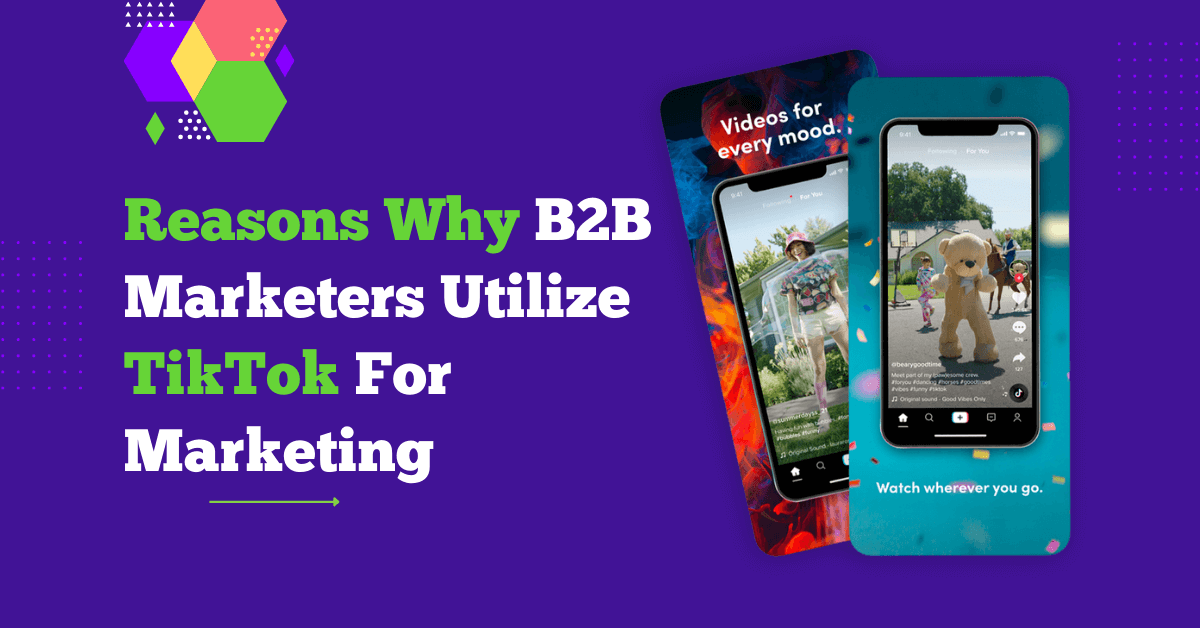 Reasons Why B2B Marketers Utilize TikTok For Marketing